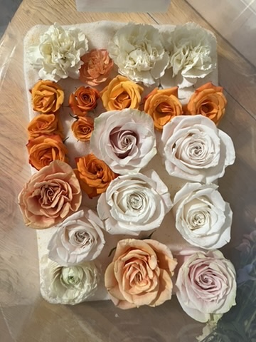 You Flora Co. portfolio piece 18