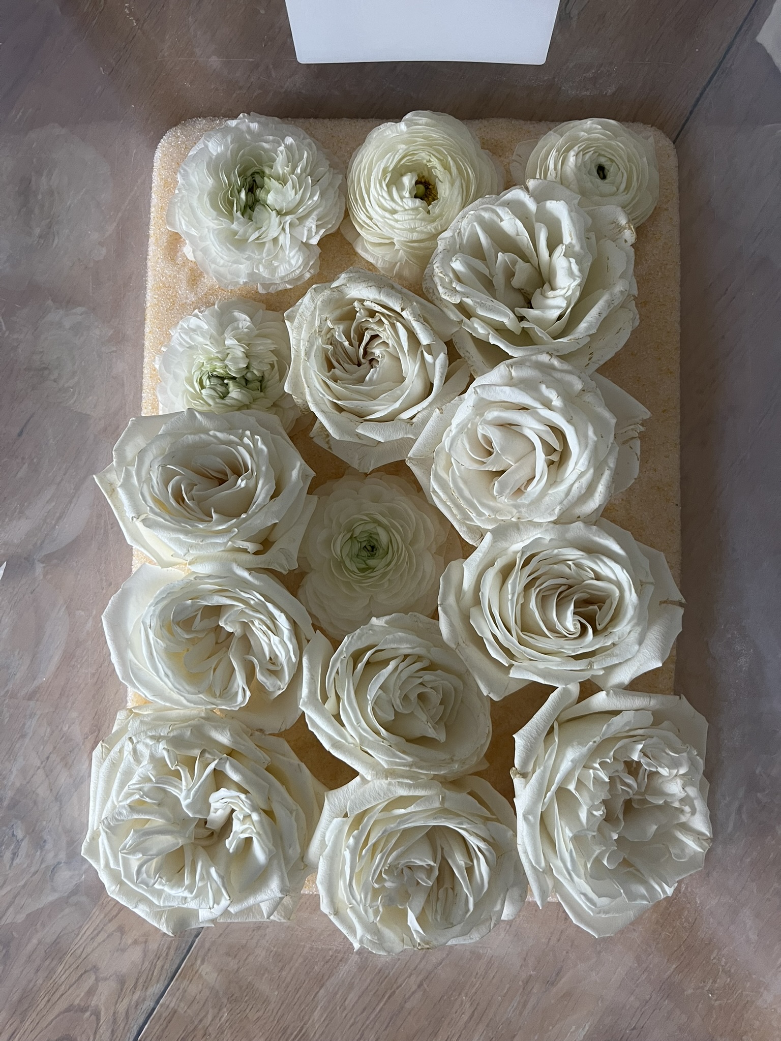 You Flora Co. portfolio piece 19